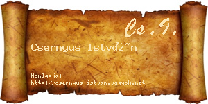 Csernyus István névjegykártya